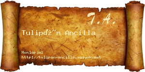 Tulipán Ancilla névjegykártya